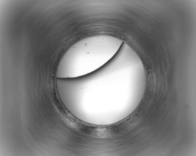 X0000066080406200603101145