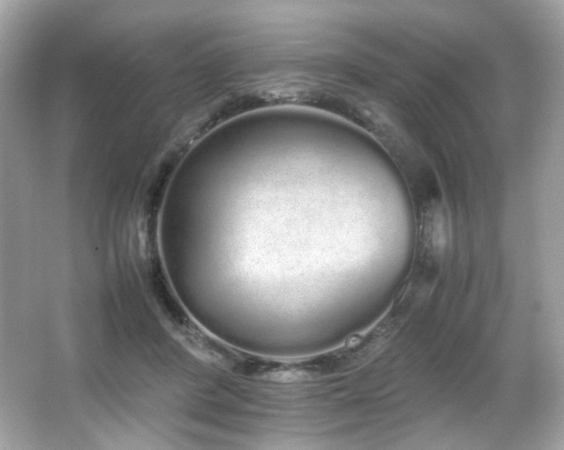 X0000066080408200603101145