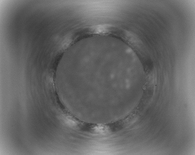 X0000066080415200603101145