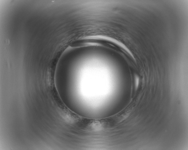 X0000066080416200603101145