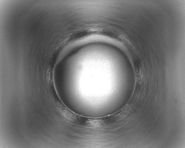 X0000066080417200603101145