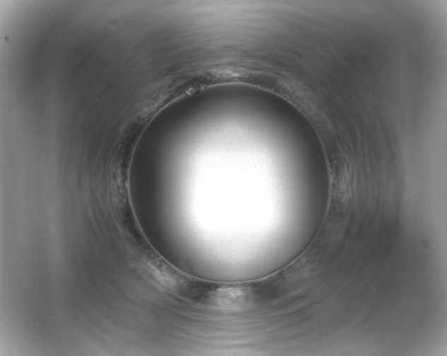 X0000066080418200603101145