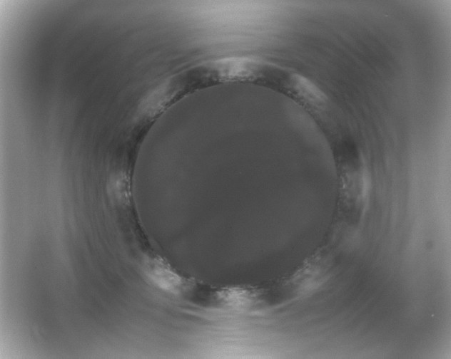 X0000066080419200603101145
