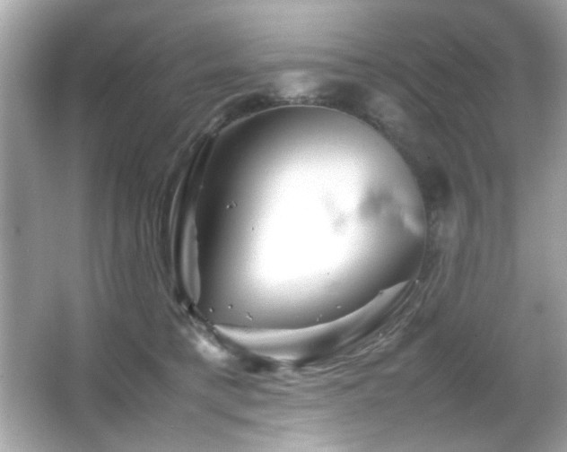 X0000066080421200603101145