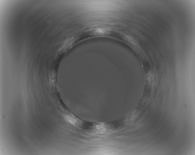 X0000066080423200603101145