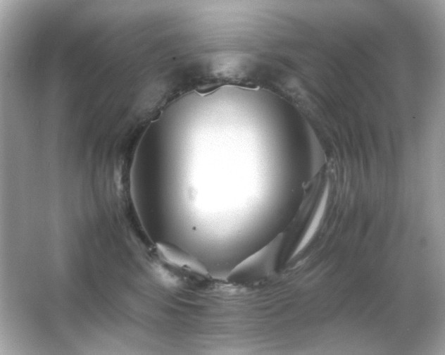 X0000066080424200603101145