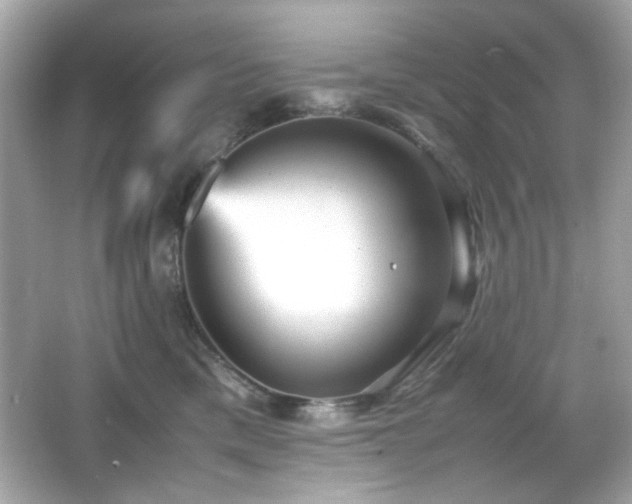 X0000066080425200603101145