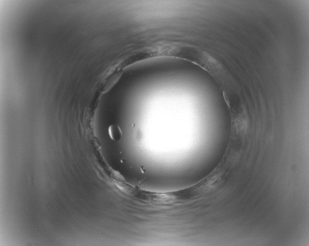 X0000066080429200603101145