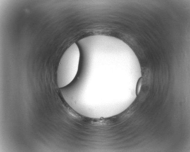 X0000066080430200603101145