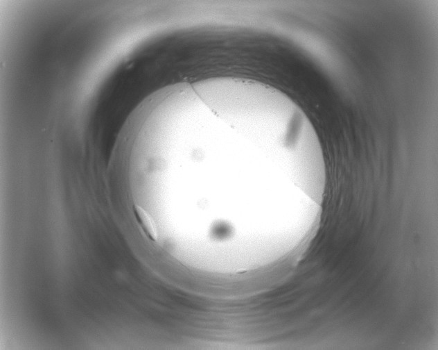 X0000066080431200603101145