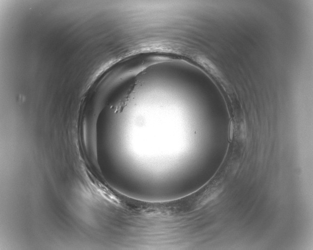 X0000066080434200603101144