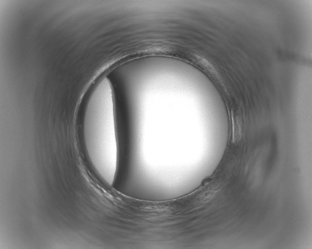X0000066080435200603101144
