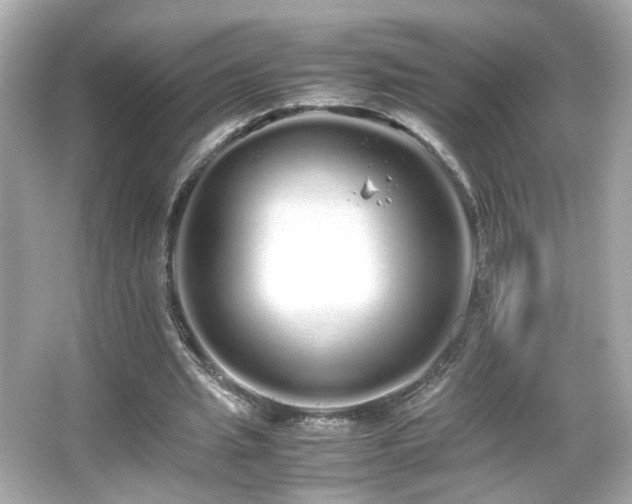 X0000066080437200603101144