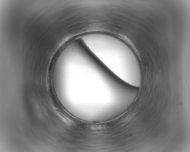 X0000066080439200603101144