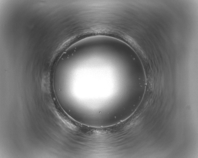 X0000066080442200603101144