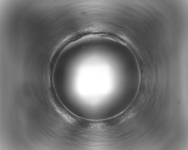 X0000066080446200603101144