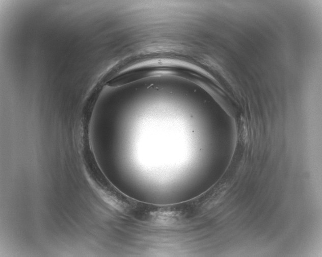X0000066080448200603101144