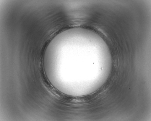 X0000066080455200603101144