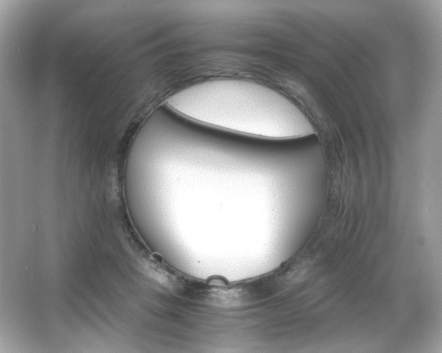 X0000066080457200603101144