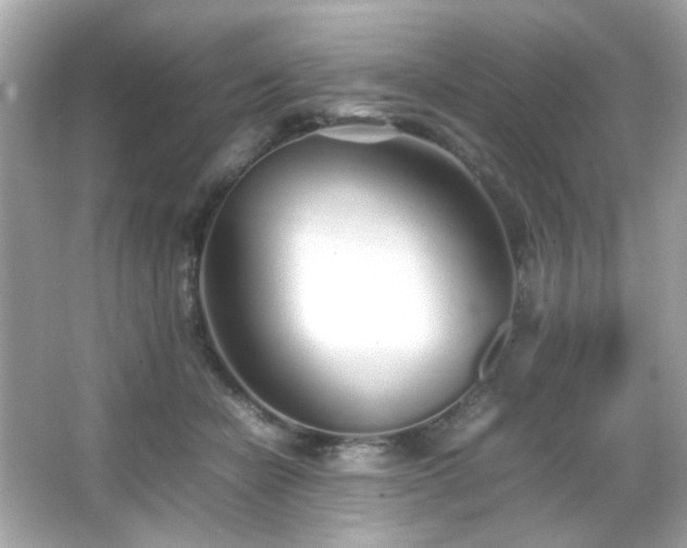 X0000066080462200603101145