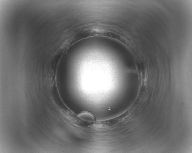 X0000066080464200603101145
