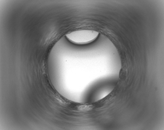 X0000066080465200603101145