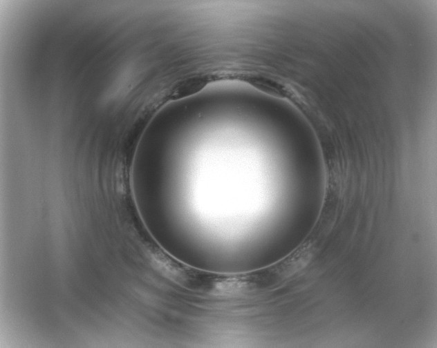 X0000066080470200603101145