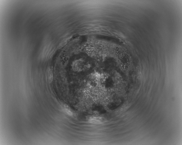 X0000066080471200603101145