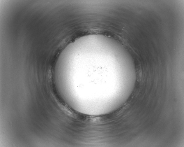 X0000066080472200603101145