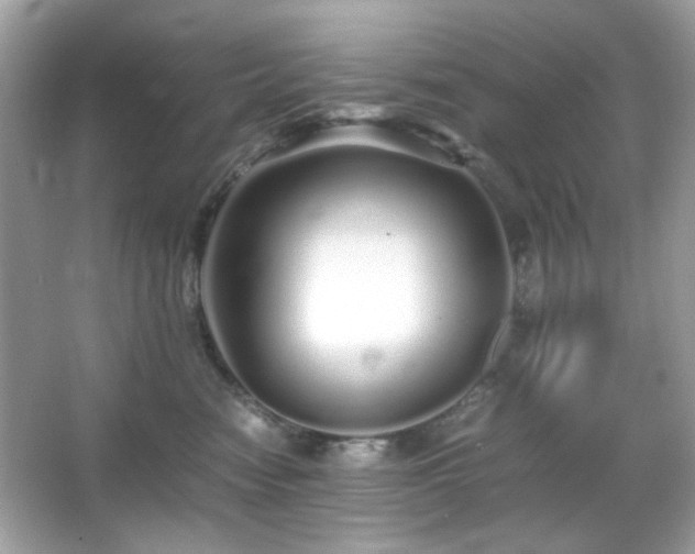 X0000066080474200603101145