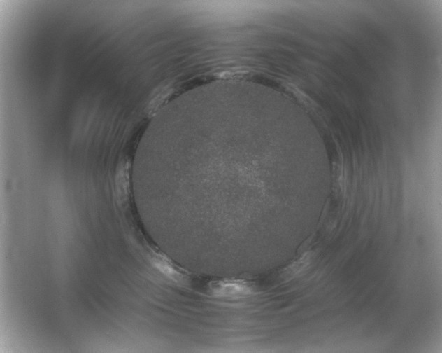 X0000066080475200603101145
