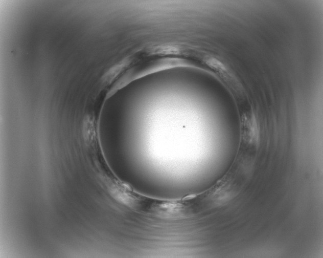 X0000066080478200603101145