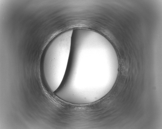 X0000066080482200603101144