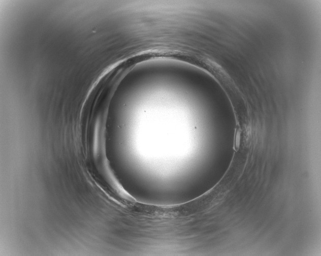 X0000066080484200603101144