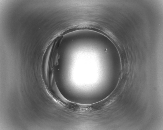 X0000066080485200603101144