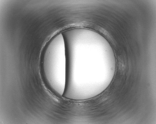 X0000066080486200603101144