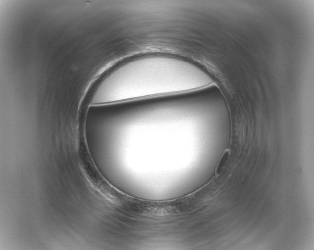 X0000066080488200603101144