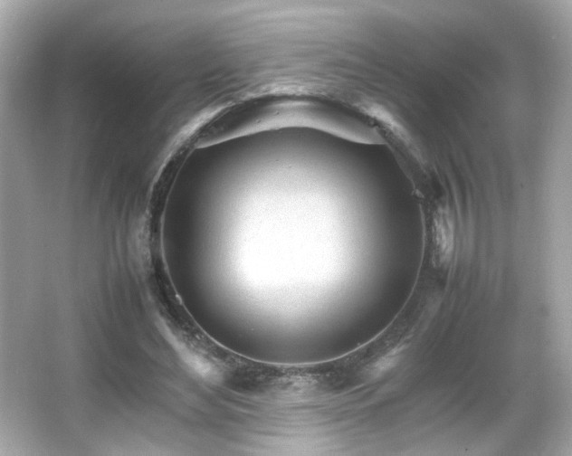 X0000066080492200603101144