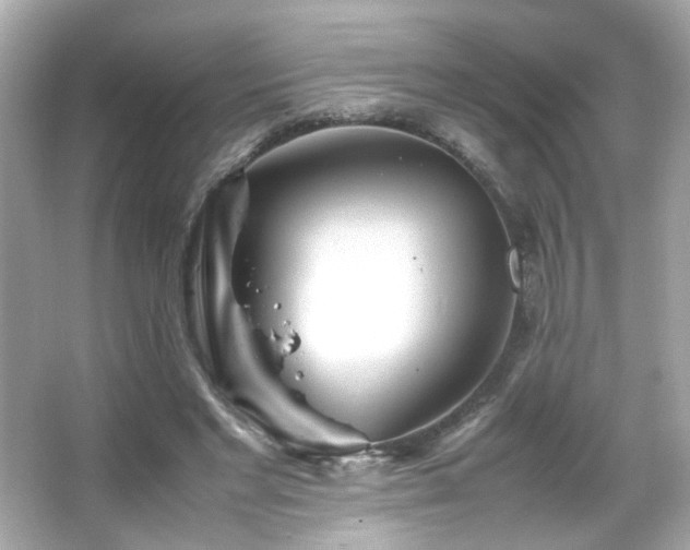 X0000066080493200603101144