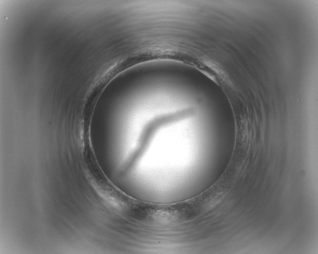 X0000066080494200603101144