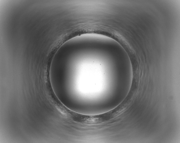 X0000066080497200603101144