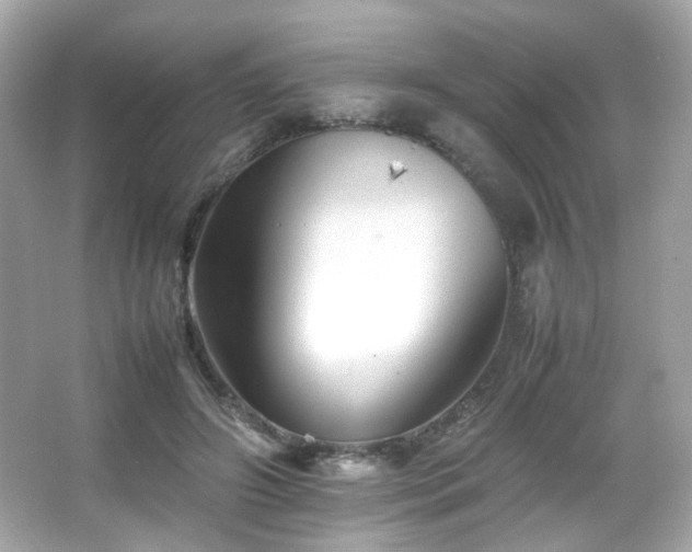 X0000066080498200603101144