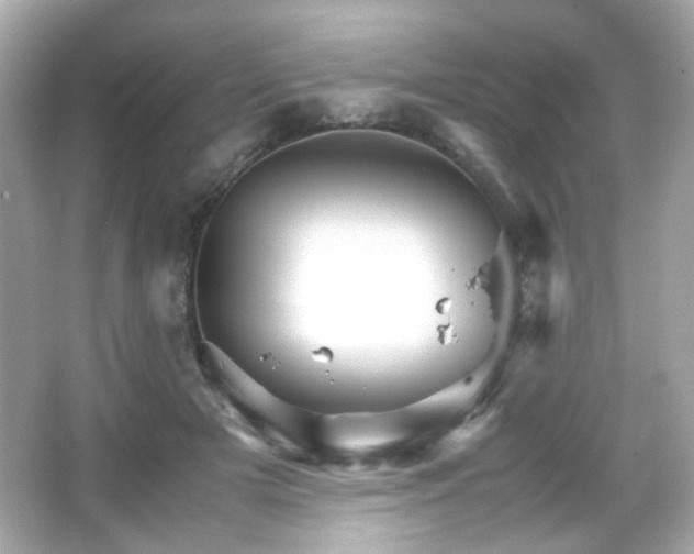 X0000066080505200603101144