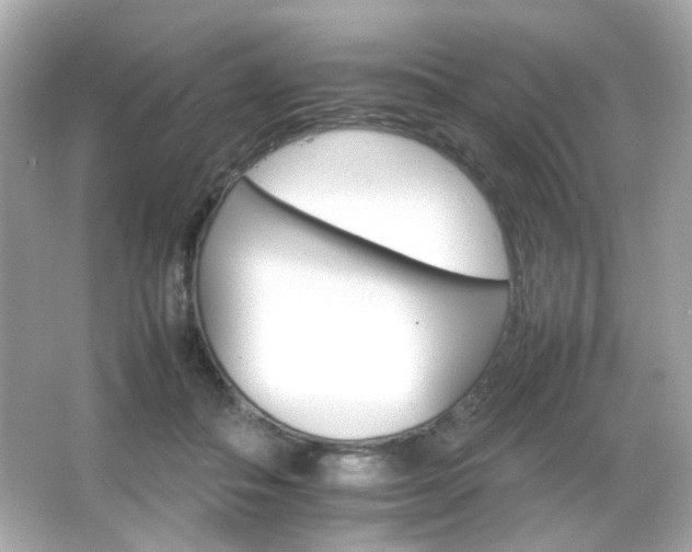 X0000066080506200603101144
