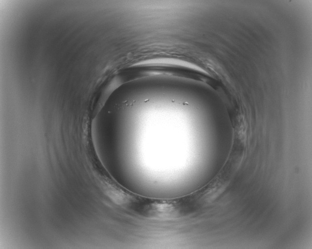 X0000066080509200603101144