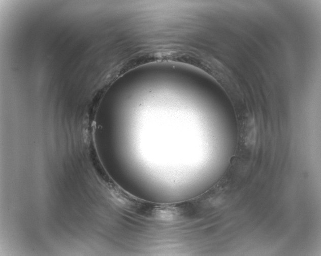 X0000066080510200603101144