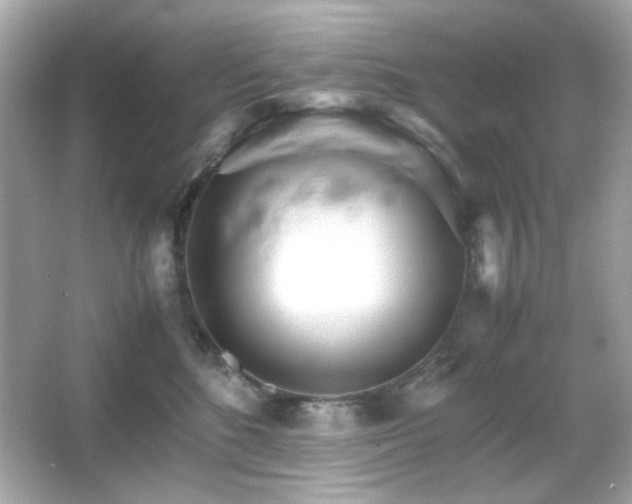 X0000066080520200603101143