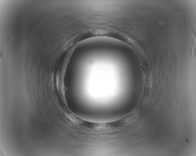 X0000066080521200603101143
