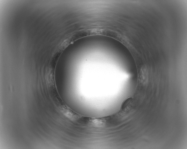 X0000066080522200603101143