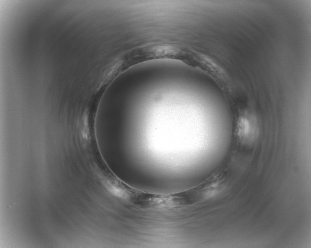 X0000066080524200603101143